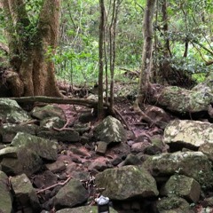 Krantzkloof Nature Reserve, Kloof, SOUTH AFRICA