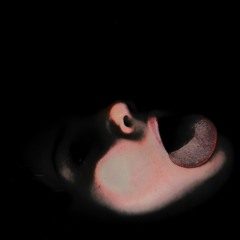 Spiders in the Bathtub