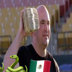 sy                 dana white