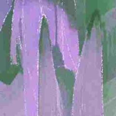 ► ◤ ∃ ▲ ₥ ₴   ⅈℼ  ◤ ∃ ▼ ∃ ◤ ₴ ∃   (ƎꙄЯƎVƎЯ ͶI ꙄMAƎЯᗡ)