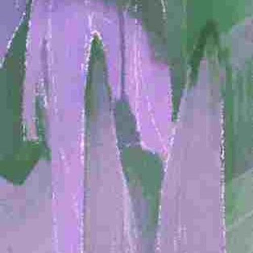 ► ◤ ∃ ▲ ₥ ₴   ⅈℼ  ◤ ∃ ▼ ∃ ◤ ₴ ∃   (ƎꙄЯƎVƎЯ ͶI ꙄMAƎЯᗡ)