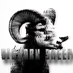 Bighorn Sheep - (Raw)