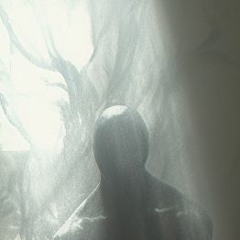reasons demo