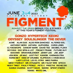 Karmasutra @ Figment Festival 2023