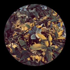 PREMIERE: Caesar - Extract