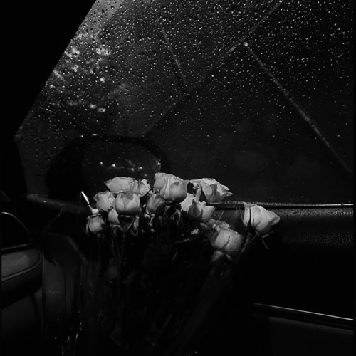 لو جاي فـ رجوع إنساني ..إنساااااني ياخي