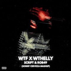 SCRIPT & Rob49 - WTF x WTHELLY (Sonny Cerveza Mashup)