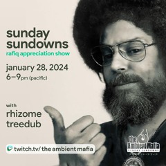 Sunday Sundowns (1/28/24) with Treedub and Rhizome