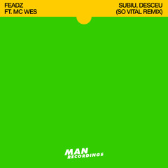 Feadz - Subiu, Desceu ft. MC Wes (So Vital Remix)
