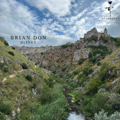 Brian Don - Beings (Original Mix)
