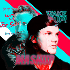 Lovers On The Sun x Wake Me Up (Mashup)