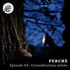 PERCHÉ - Épisode 04 : Considérations météo