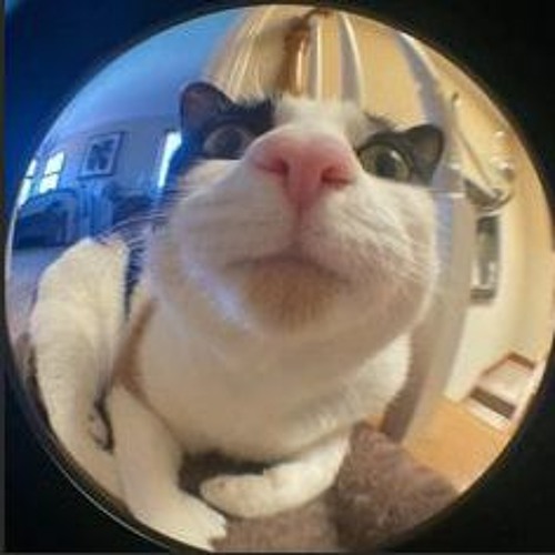 yokai watch opening song