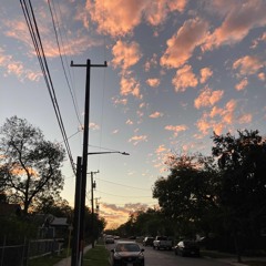 Hays St (p. Antiquant)