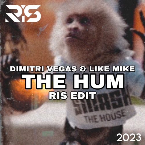 Dimitri Vegas & Like Mike - The Hum (RIS BIGROOM TECHNO EDIT)