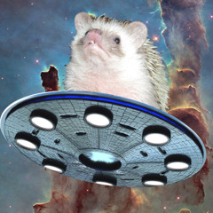 Furlough Techno