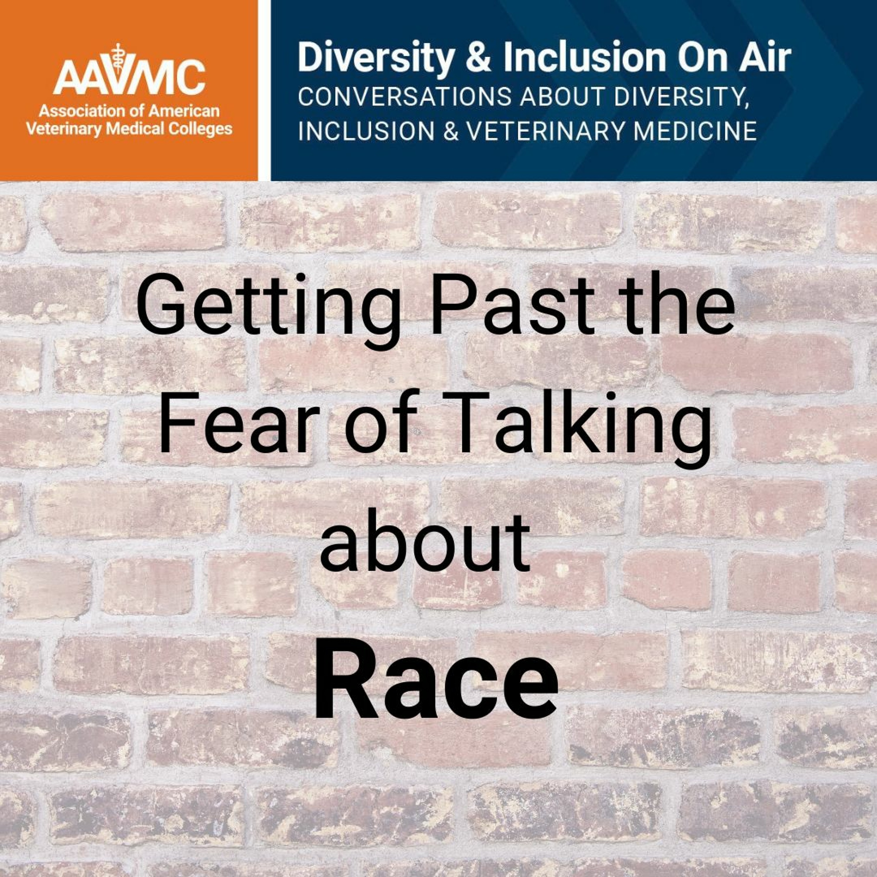 AAVMC\'s On Air: Conversations about Issues in Veterinary Medicine