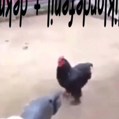 diklordefenil - КОРМЛЮ КУРОЧЕК ft. dekma