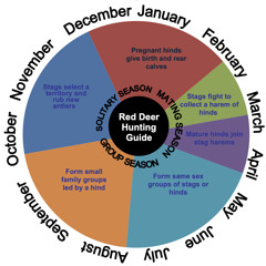 Secrets Of The Reds Chapter 2 - Deer Behaviour