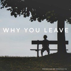 Why You Leave (Instrumental) produced by Phucka Yu