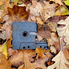 mixtape 5: <save file doesn't not exist>