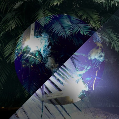 Cant Touch This - DANKTECH flip