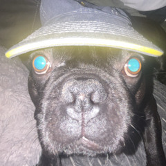 KK - BB Delay freestyle