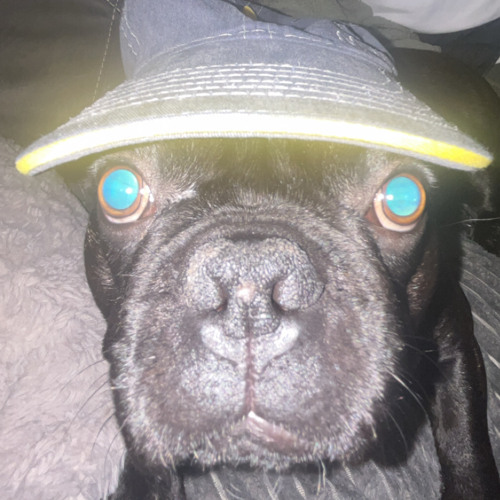 KK - BB Delay freestyle