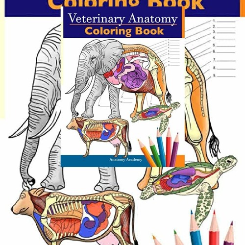 Download Stream Pdf Download Veterinary Anatomy Coloring Book Animals Physiology Self Quiz Color Workbook For Stud By Zyfahasberyu Listen Online For Free On Soundcloud