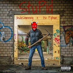 Jhulio Shining Feat Mr Python - STUPID  Official Audio