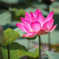 MY LIFE 🤍  (ANDRES DJ)