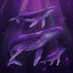 hello kitty's girl disaster (apocalypse after total obsession)