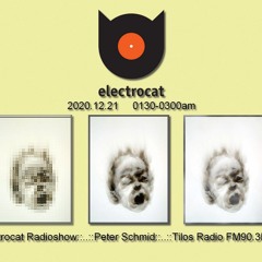 electrocat - Peter Schmid 20.12.2020.