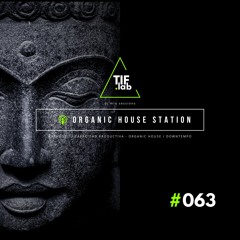 Zen Organic House #063 - Melodies for the Mind | 🛋️ Deep Focus dj mix session 慢摇