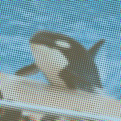 Free Willy