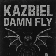 Damn Fly