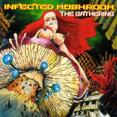 Infected Mushroom – The Gathering 1999 (Full Album)