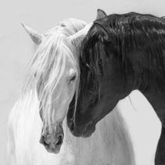 Ramy Gamal - Tegy Nergaa | رامي جمال - تيجي نرجع