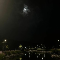 Forget(Prod.GUNYUNG)