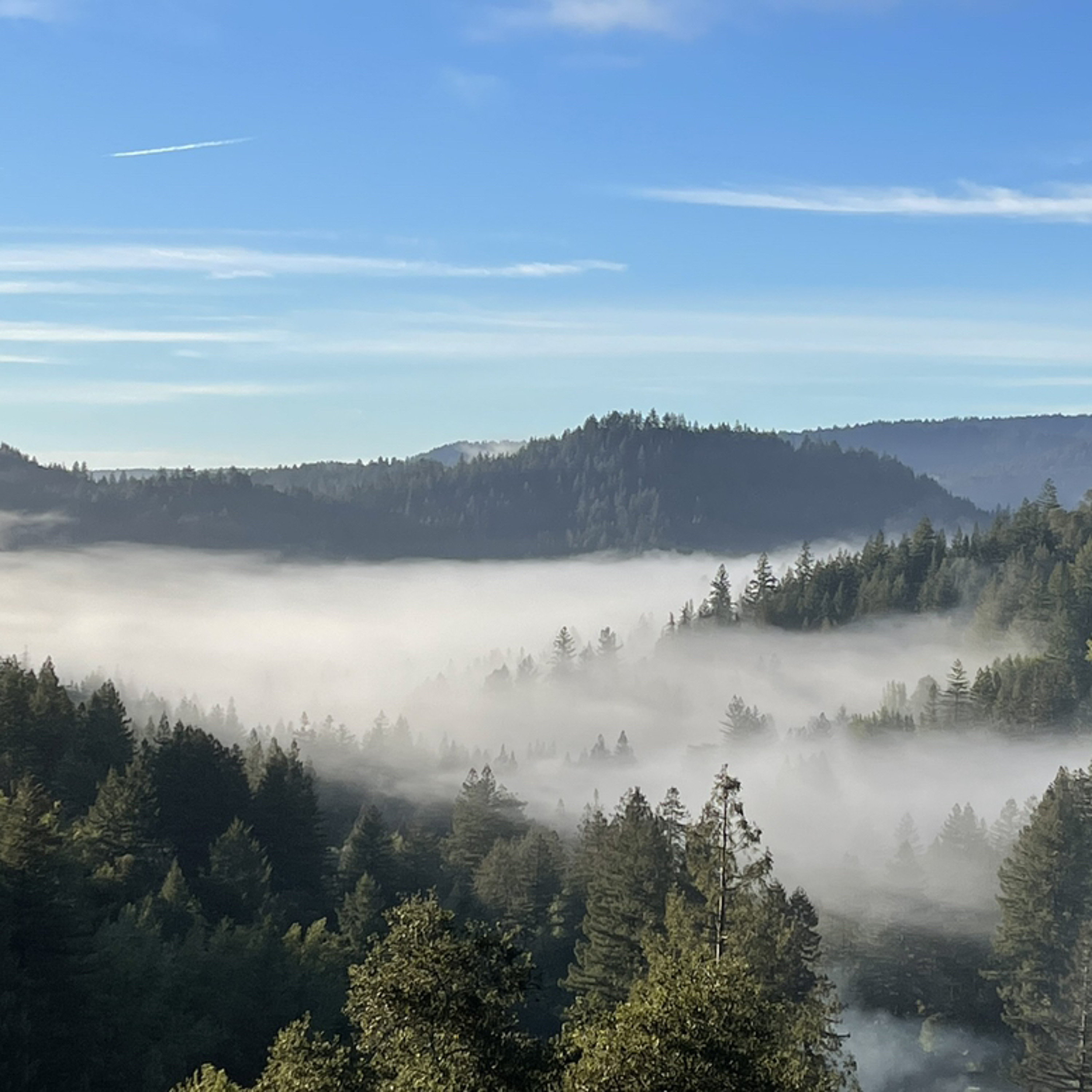 Tia Marie\'s Random Musicing