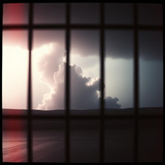 Warzone Heart