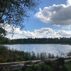 Blijf bij jezelf (ft. M•RC)