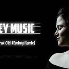 Zehra - Yaprak Gibi (Embey Remix)