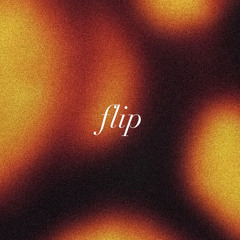 flip (zmny + mirice)