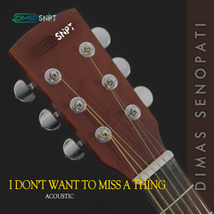I Don't Want to Miss a Thing (Acoustic)