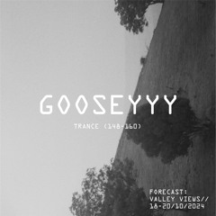 gooseyyy @ Forecast: Valley Views 2024