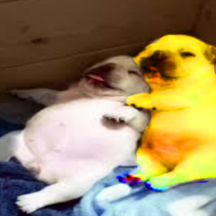 MUSICA DO BEAT HOMENAGEM AO PORRA MOLHADA FEAT PIKACHU 434