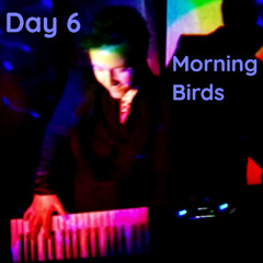 Morning Birds