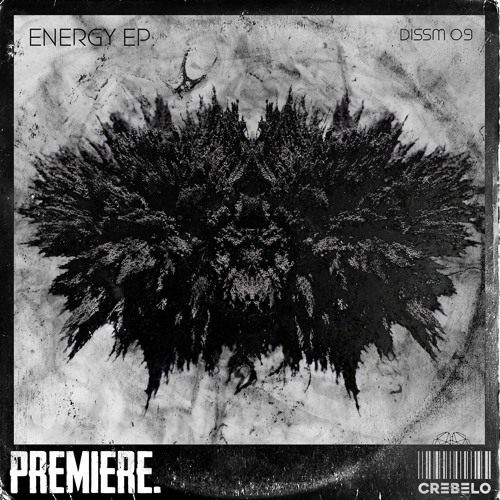 PREMIERE: DAS - Negative Force (T-Dok Remix) [DISSM09]