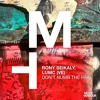 Rony Seikaly, LUMC (VE) - My Vibe feat. Angie A (Extended Version)